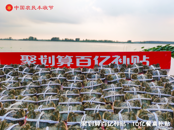 万能的大熊：2020年的最后100天，聚划算还要补贴100亿？