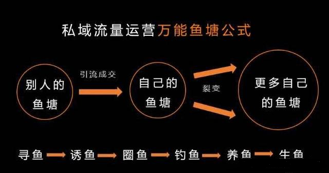 营销进化之路——私域流量运营！