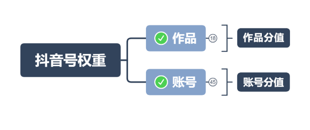 如何确定自己抖音账号的权重等级？